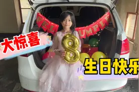 女儿圆圆的8岁生日，爸爸准备了后备箱惊喜，果然是前世的小情人视频封面