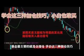 基金学会这三种加仓技巧，小白也能赚钱视频封面