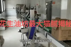 现场揭秘花生油坊内幕，各种环节一清二楚，看后还敢吃不？视频封面