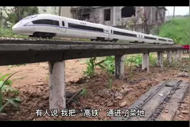 河南“95后”小伙菜地里建“高铁”走红涨粉60万视频封面