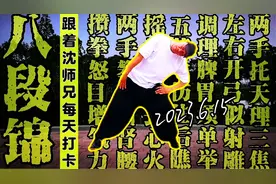 正常速度国体标准12分钟完整版《八段锦》示范，超大呼吸提示字幕视频封面