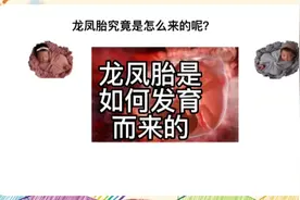 龙凤胎是如何发育而来的，它和双胞胎的区别又在哪里呢？视频封面