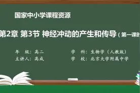 高中生物选择性必修一——神经冲动的产生和传导（第一课时）视频封面