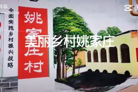 美丽乡村姚家庄村视频封面