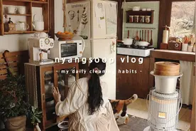 治愈系VLOG|韩国女孩独居生活|小森林 春日大扫除视频封面