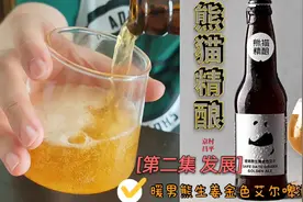 [小平说精酿]日落西山的熊猫精酿发展史(中集)线上线下营销发展视频封面