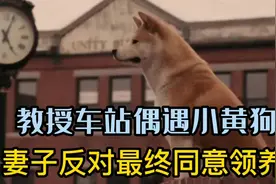 教授车站抱回小黄狗，妻子反对吵闹最终同样领养。视频封面