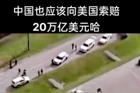 向美国索赔20万亿美元-同意的点赞哈视频封面