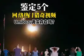 鉴定5个网络热门猎奇视频：未知生物Umibozu目击事件是真是假视频封面