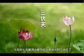 每天吃点南瓜籽，对身体有三大好处。视频封面