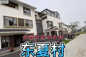 上海新农村建设（十一）松江石湖荡东夏村太赞了，看新农村样板房视频封面