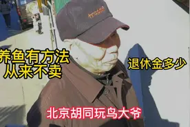 北京胡同玩鸟大爷，养鱼有方法从来不卖，喜欢京剧，退休金多少视频封面