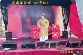 湖南花鼓戏…《打龙袍》片段六\又名狸猫换太子，龙霞平的十不想视频封面
