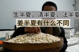 生半夏，清半夏，法半夏，姜半夏有何不同？原来与炮制方法有关视频封面