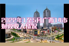 2022年1至5月广西14市财政收入情况视频封面