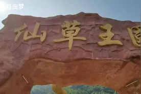 广西最大侨乡容县，仙草王国景区你可知道仙草是什么？我来告诉你视频封面