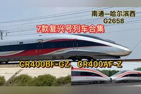 实拍7款复兴号列车合集，颜值大赏十分亮眼，你都认识吗？