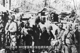 山东肥城抗战记忆8安驾庄张伯源抗日游击队视频封面