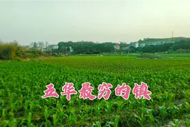 广东五华最贫穷的镇，全镇有90%的人都种田，各个村没有工业视频封面
