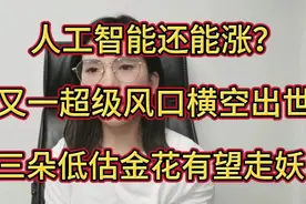 人工智能还能涨？又一超级风口横空出世，三只低估龙头有望走妖！视频封面