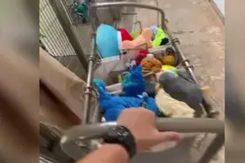 动物收容所工作的爱心人士给小家伙发玩具的瞬间视频封面