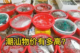 潮汕物价有多高？95后潮汕女友做2道菜，网友：三线城市一线消费视频封面