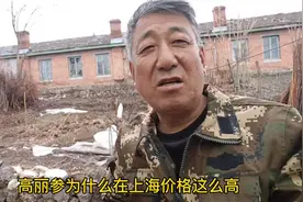 老刘告诉粉丝，高丽参9蒸9晒4斤新鲜参出一斤干参，记住了吗视频封面