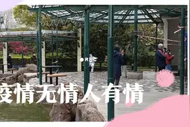 2022年4月1日，上海浦西，全员封闭做核酸检测视频封面