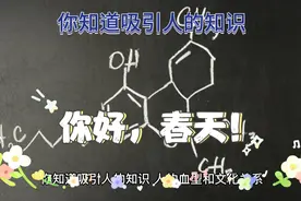 你知道吸引人的知识。人的血型和文化关系。历史文化融入血液之中