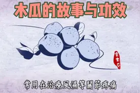 木瓜的故事与功效视频封面