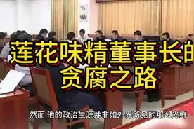 莲花味精董事长的贪腐之路视频封面