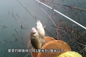 野钓要想钓的多，这些自制饵料配方要学会。视频封面