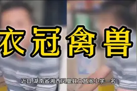 湖南湘西凤凰文昌阁小学教师猥亵一名年仅8岁的女童@西瓜纪录片视频封面