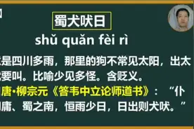 高中必会成语第五十一个：蜀犬吠日视频封面