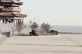 董事长媳妇在停车场偶遇前男友，被前男友百般羞辱，结局真解气!视频封面