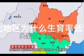 东北地区为什么生育率低？视频封面