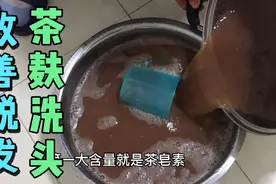 茶麸洗头发，可以去头油，去屑，止痒，改善脱发，白发视频封面