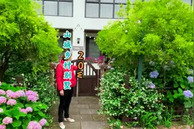 重庆主城都市区 大娘花20万买一栋乡村别野 打造梦想院子 很心动视频封面