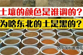 土壤的颜色是谁调的？为啥东北的土是黑的？腐殖质是什么东西？视频封面