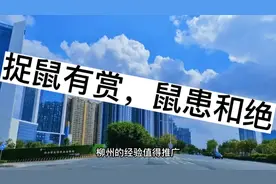 捉鼠有赏，鼠患不绝。龙王卖伞焉有晴日？其是天实，更是人祸。视频封面