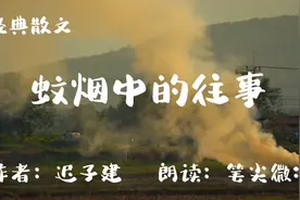 经典散文《蚊烟中的往事》，文：迟子建，往事如烟，记忆永存……视频封面