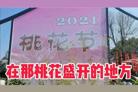 听着《在那桃花盛开的地方》歌曲，去无锡蠡园观赏桃花，真是太好视频封面