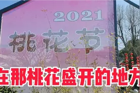 听着《在那桃花盛开的地方》歌曲，去无锡蠡园观赏桃花，真是太好视频封面