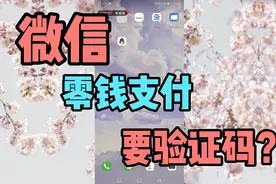 挑战解决微信零钱支付需要验证码问题！视频封面
