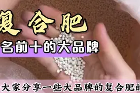 排名前十的复合肥品牌，收藏买肥不吃亏视频封面