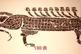 髭视频封面