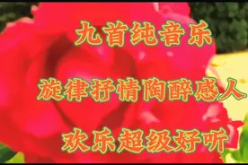 九首纯音乐旋律抒情陶醉感人百听不厌超级好听。请聆听欣赏收藏。视频封面