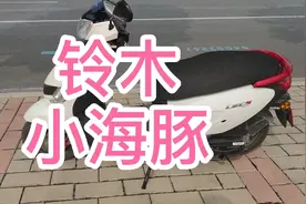 同样是7980元，我为什么放弃巧格，选择了轻骑铃木小海豚视频封面