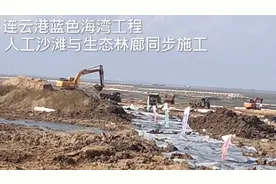 连云港蓝色海湾工程，人工沙滩与生态林廊同步施工视频封面