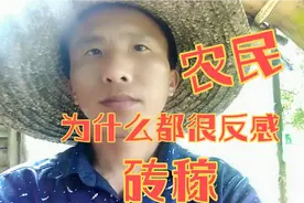 吃饱撑着尽不说人话吃农民的饭还砸农民的碗为什么农民都很反感视频封面